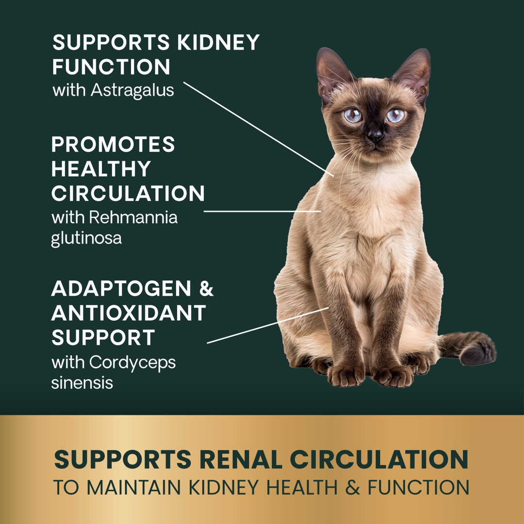 Veterinary Strength Kidney Health Liquid for Cats