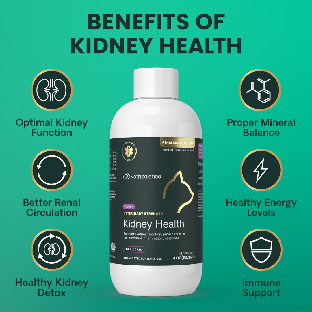 Veterinary Strength Kidney Health Liquid for Cats