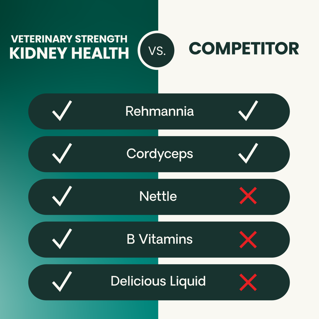 Veterinary Strength Kidney Health Liquid for Cats