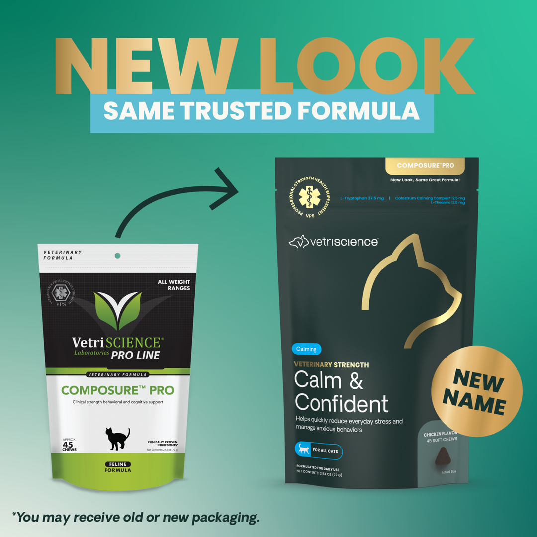 Veterinary Strength Calm & Confident for Cats
