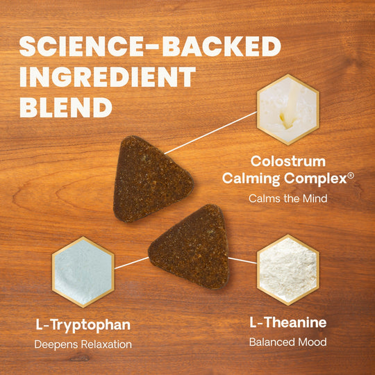 Veterinary Strength Calm & Confident for Cats