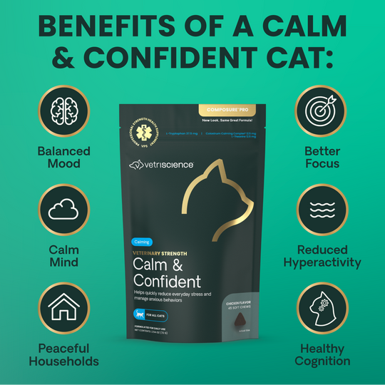Veterinary Strength Calm & Confident for Cats