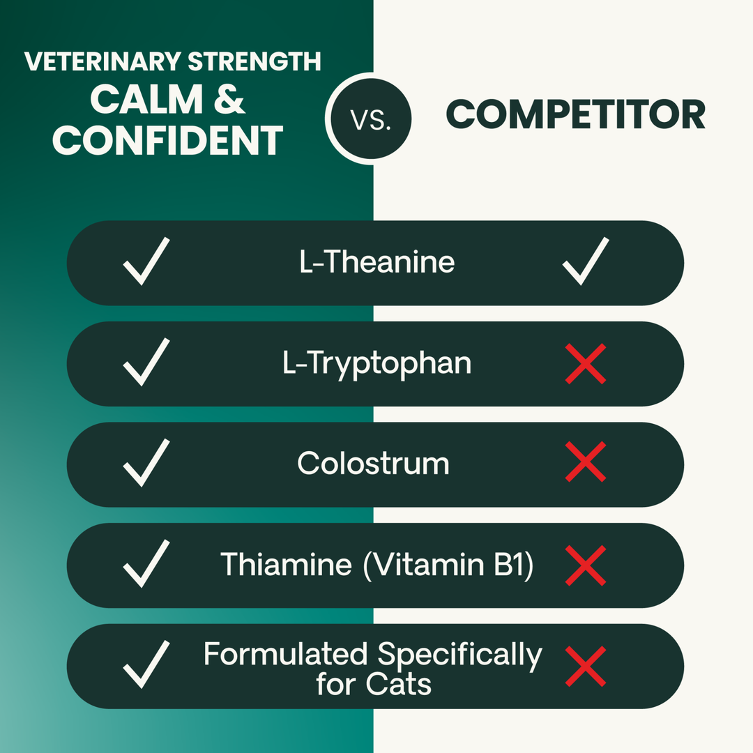 Veterinary Strength Calm & Confident for Cats