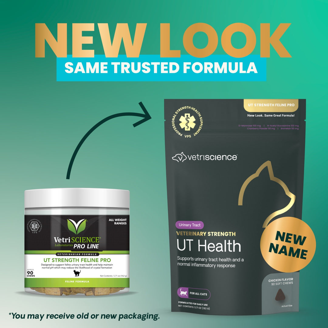 Veterinary Strength UT Health for Cats