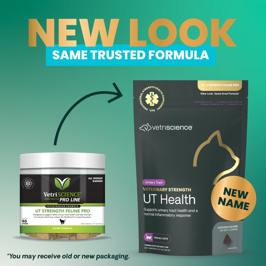 Veterinary Strength UT Health for Cats