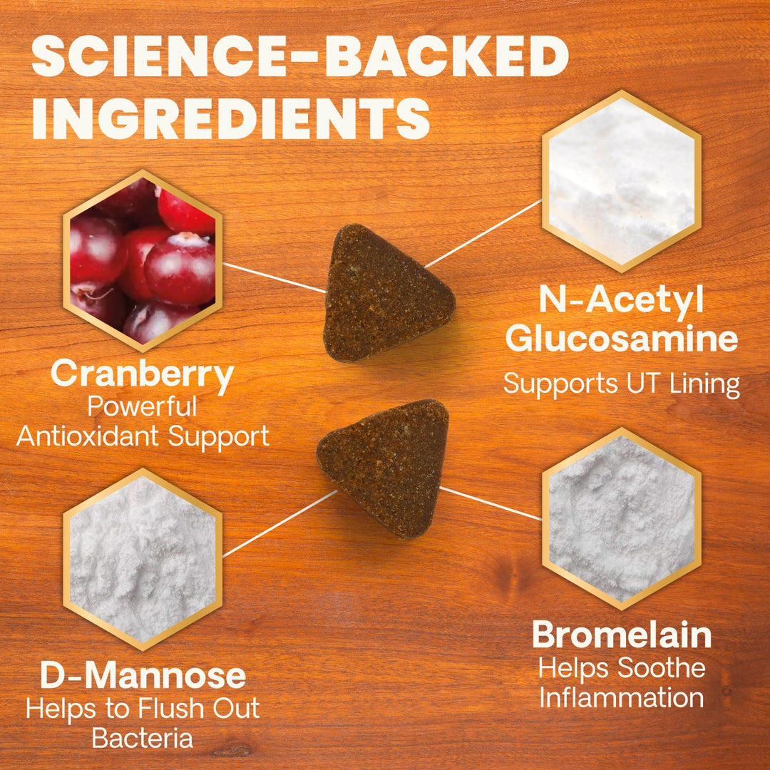 Veterinary Strength UT Health for Cats