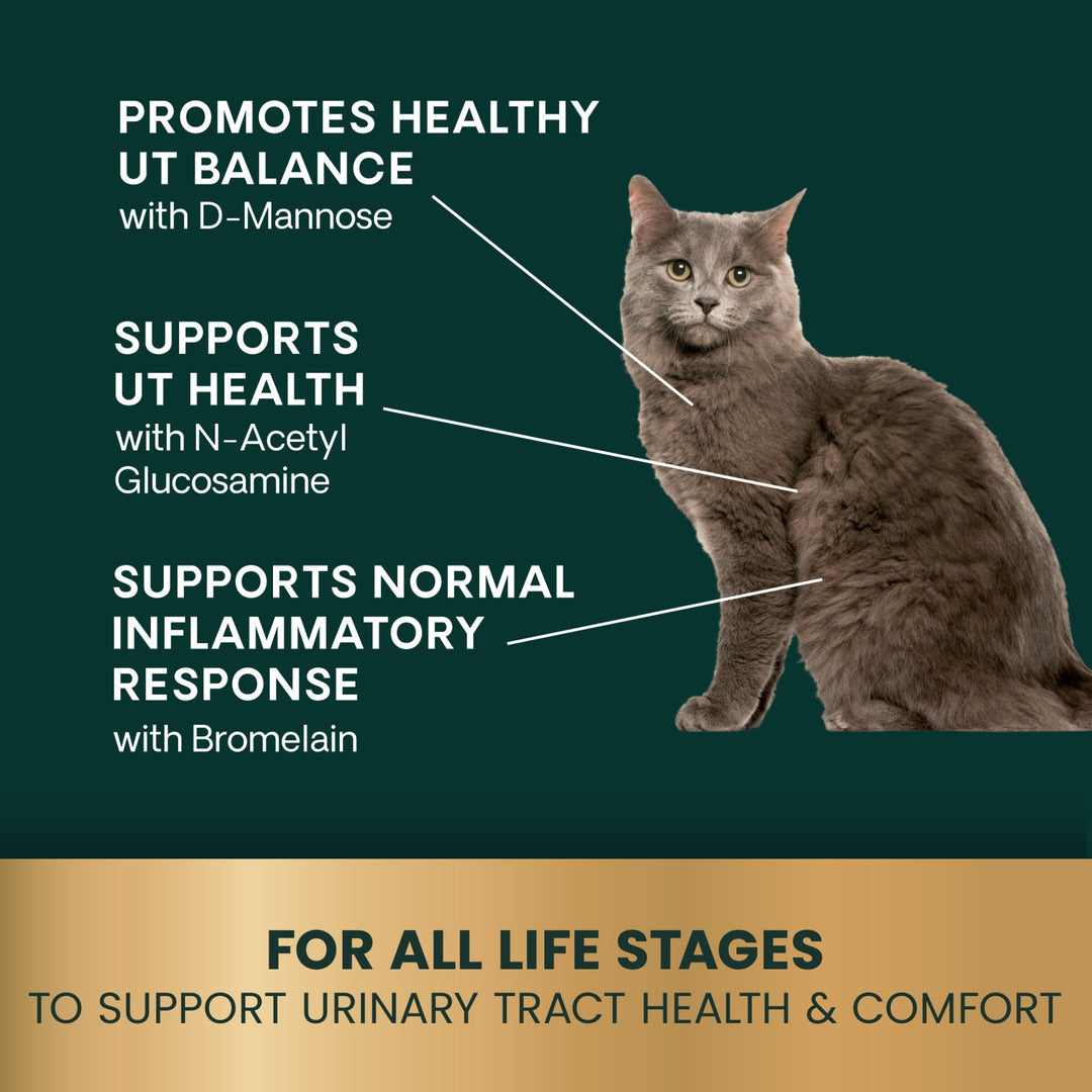 Veterinary Strength UT Health for Cats