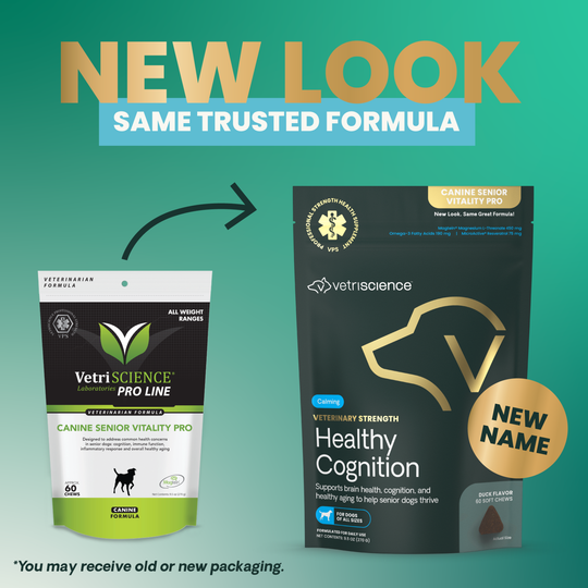 Veterinary Strength Healthy Cognition for Dogs