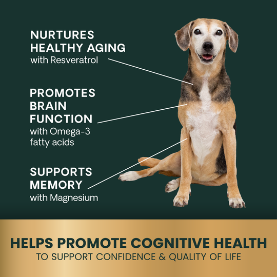 Veterinary Strength Healthy Cognition for Dogs