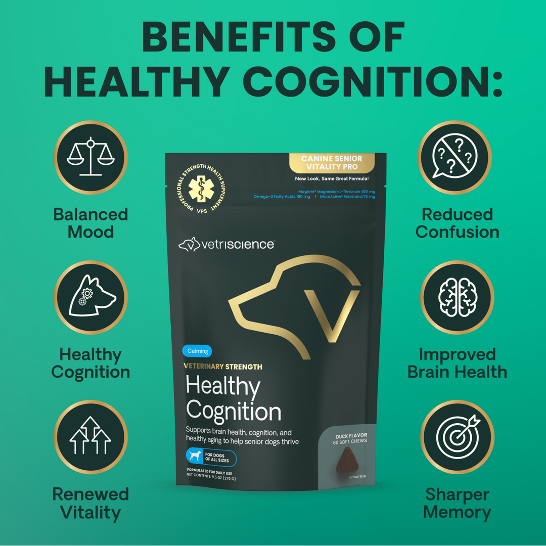 Veterinary Strength Healthy Cognition for Dogs