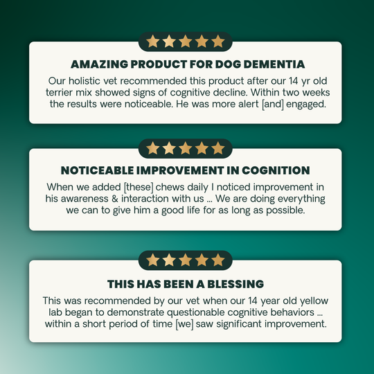 Veterinary Strength Healthy Cognition for Dogs