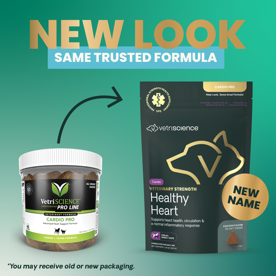 Veterinary Strength Healthy Heart for Dogs & Cats