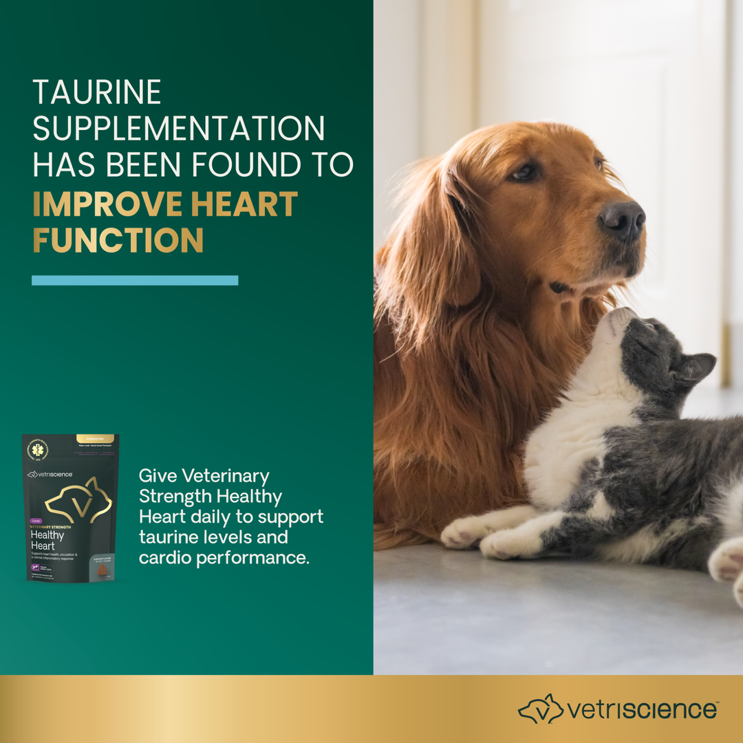 Veterinary Strength Healthy Heart for Dogs & Cats