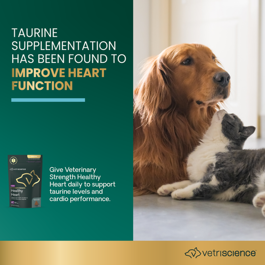 Veterinary Strength Healthy Heart for Dogs & Cats