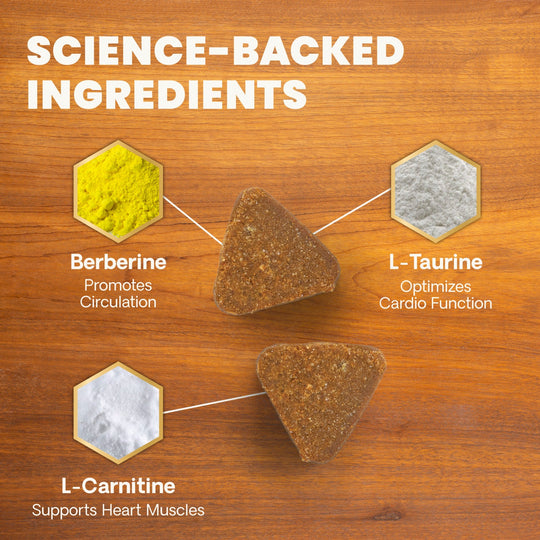 Veterinary Strength Healthy Heart for Dogs & Cats