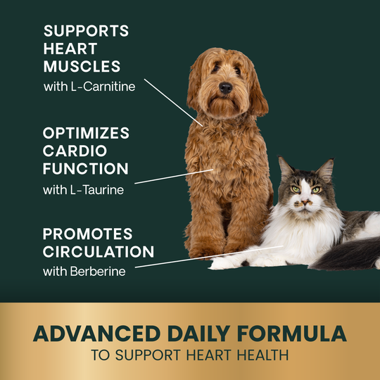 Veterinary Strength Healthy Heart for Dogs & Cats