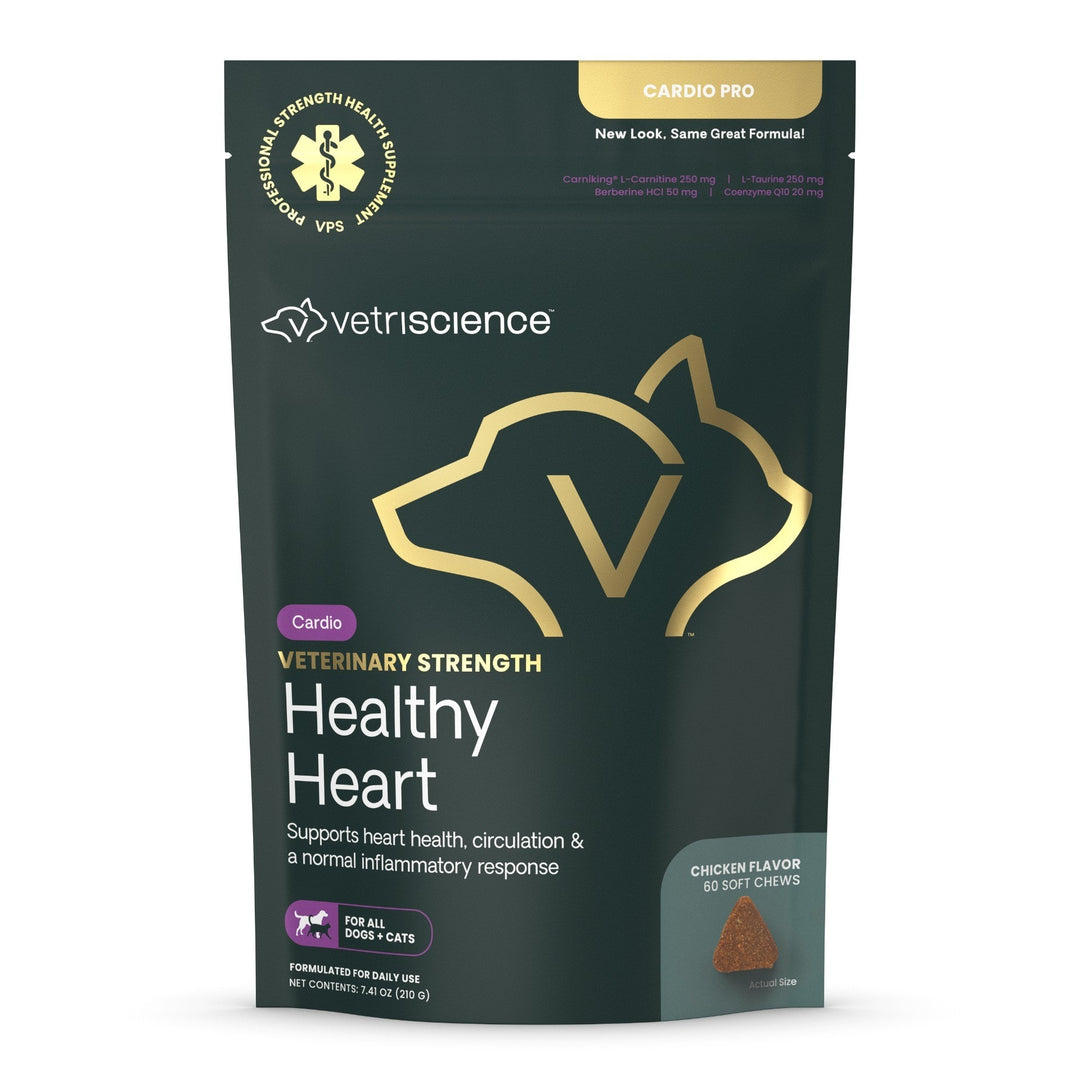 l-carnitine supplements for cats Taurine Cats, Heart Health, Cardiac Function, Immune System Support ONLY NATURAL PET Thyroid Support
