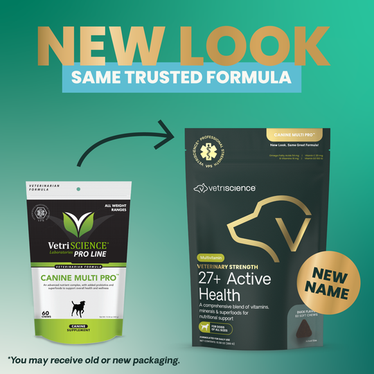 Veterinary Strength 27+ Active Health for Dogs