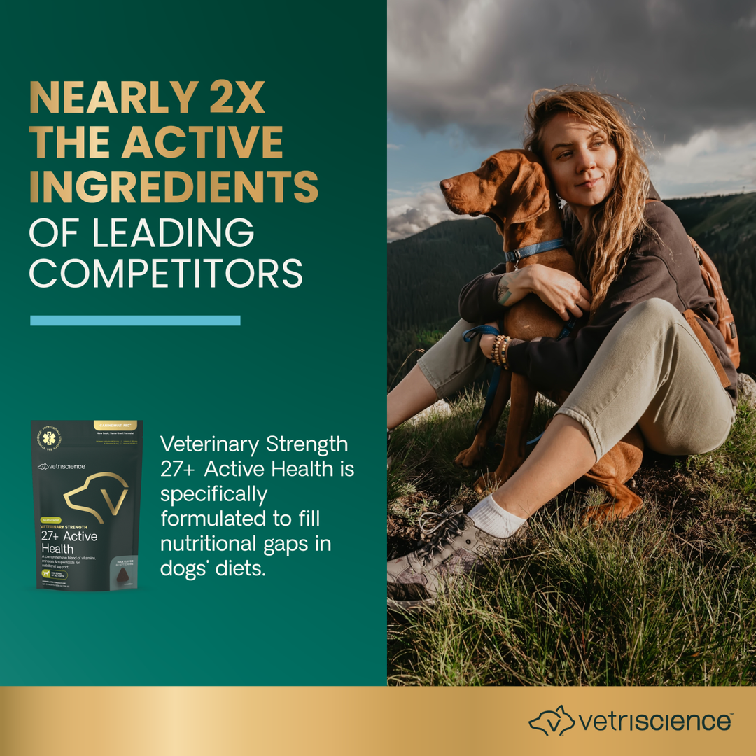 Veterinary Strength 27+ Active Health for Dogs