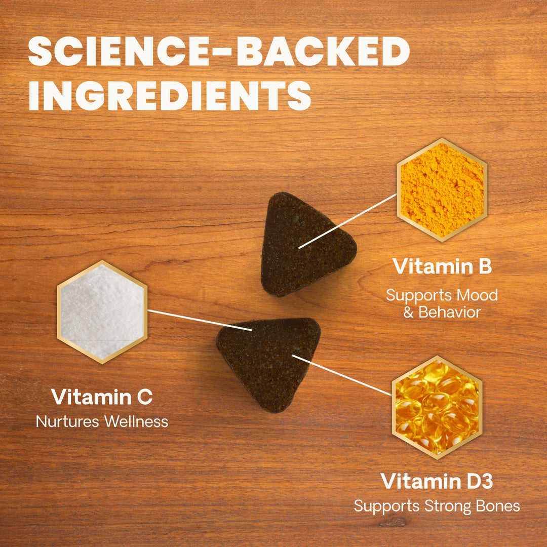 Veterinary Strength 27+ Active Health for Dogs