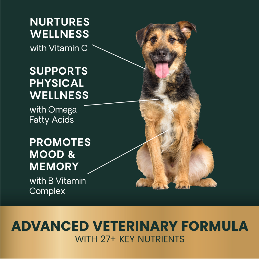 Veterinary Strength 27+ Active Health for Dogs