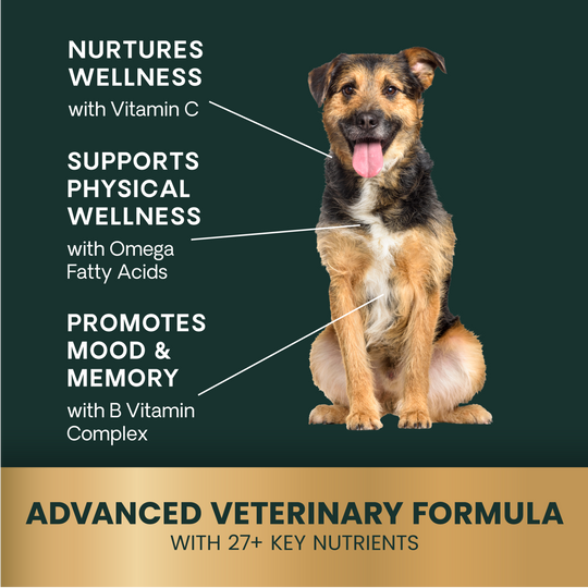 Veterinary Strength 27+ Active Health for Dogs