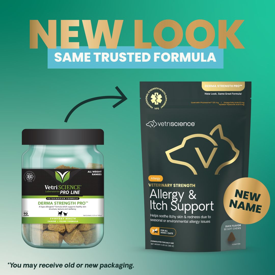 Veterinary Strength Allergy & Itch Support for Dogs & Cats