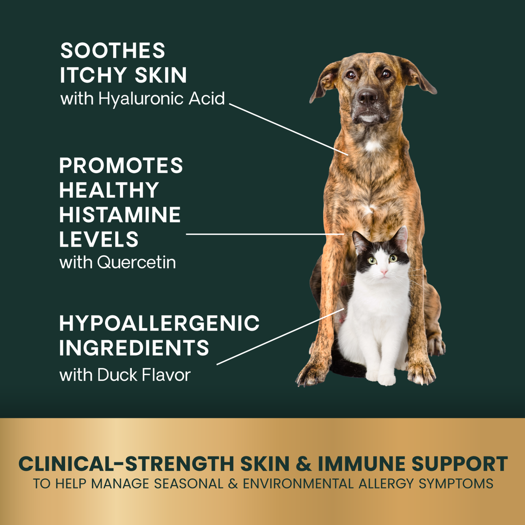 Veterinary Strength Allergy & Itch Support for Dogs & Cats