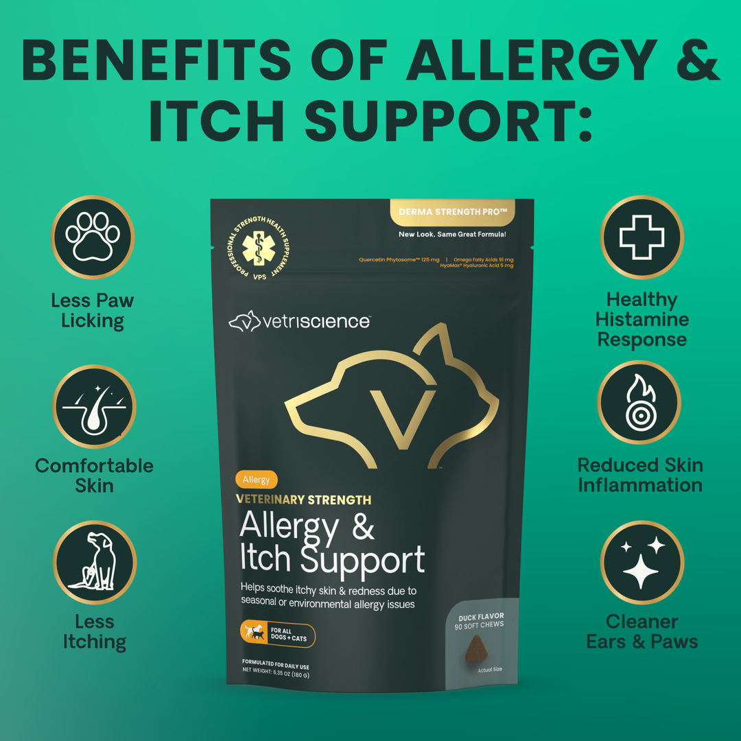 Veterinary Strength Allergy & Itch Support for Dogs & Cats