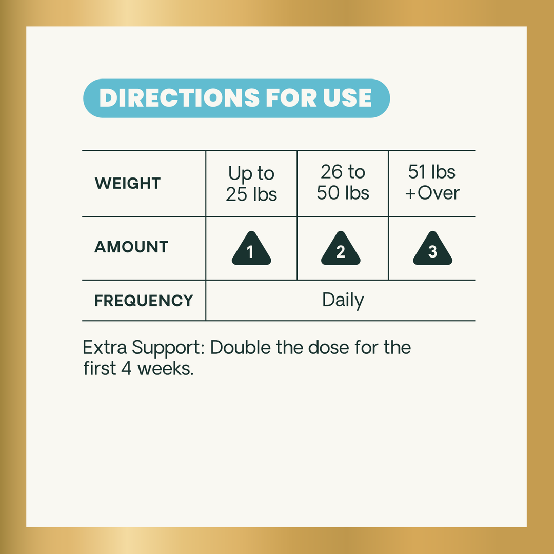 Veterinary Strength Allergy & Itch Support for Dogs & Cats