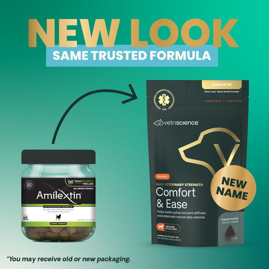 Max Veterinary Strength Comfort & Ease for Dogs