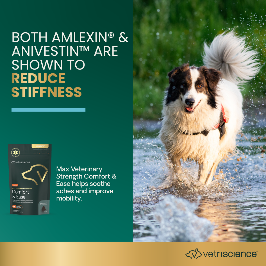 Max Veterinary Strength Comfort & Ease for Dogs