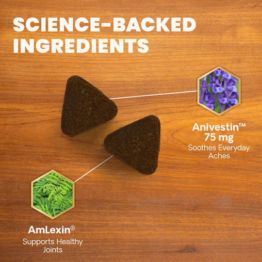 Max Veterinary Strength Comfort & Ease for Dogs