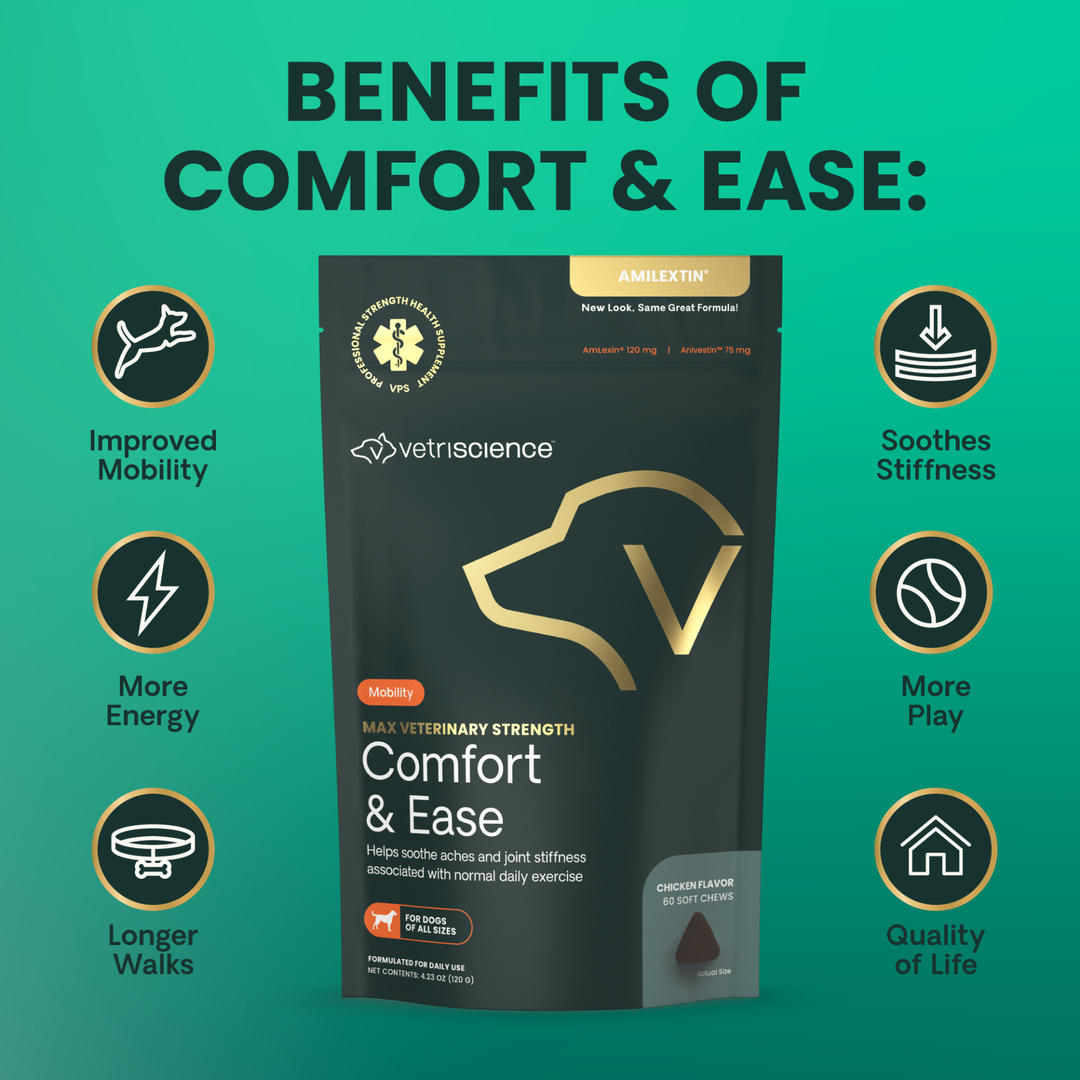Max Veterinary Strength Comfort & Ease for Dogs