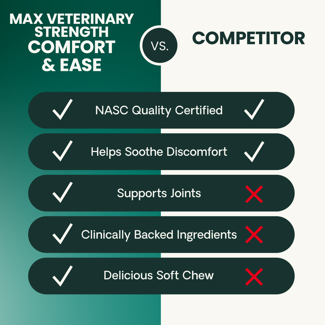 Max Veterinary Strength Comfort & Ease for Dogs