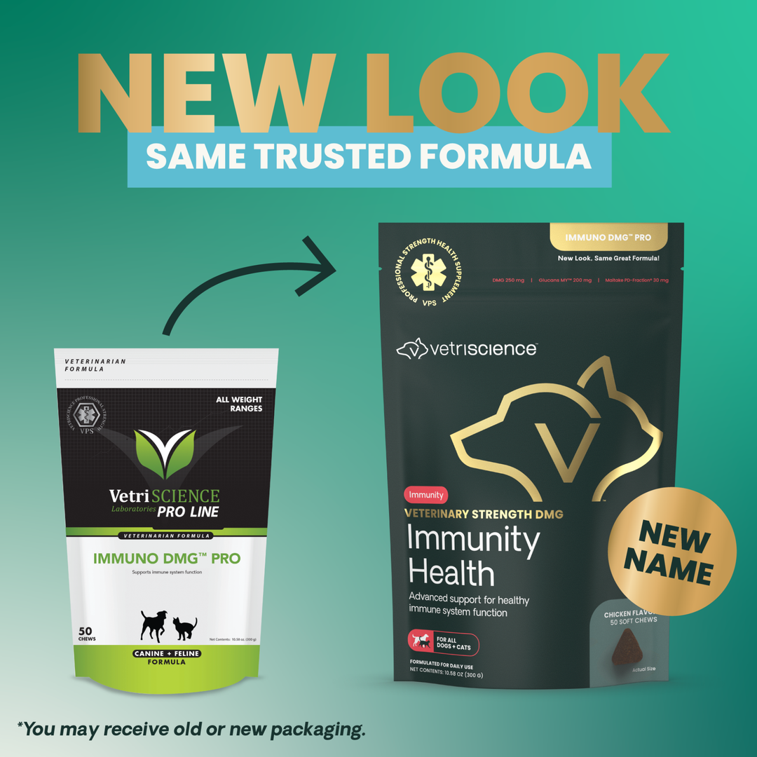 Veterinary Strength DMG Immunity Health for Dogs & Cats