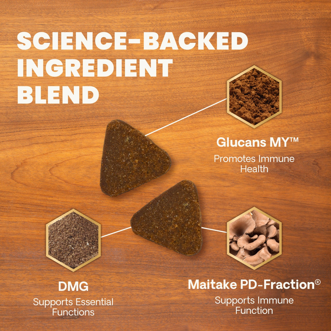 Veterinary Strength DMG Immunity Health for Dogs & Cats