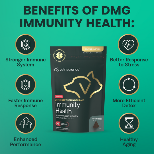 Veterinary Strength DMG Immunity Health for Dogs & Cats