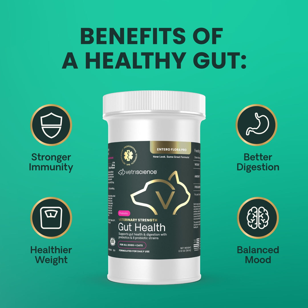 Veterinary Strength Gut Health for Dogs & Cats