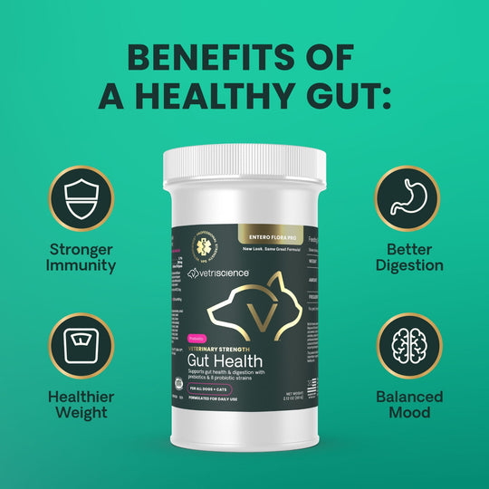 Veterinary Strength Gut Health for Dogs & Cats