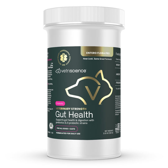 Veterinary Strength Gut Health for Dogs & Cats