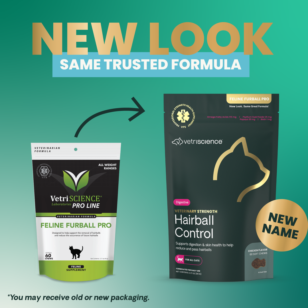 Veterinary Strength Hairball Control for Cats