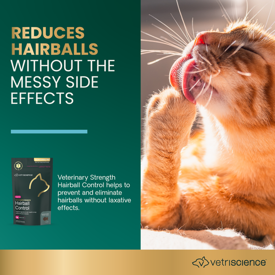 Veterinary Strength Hairball Control for Cats