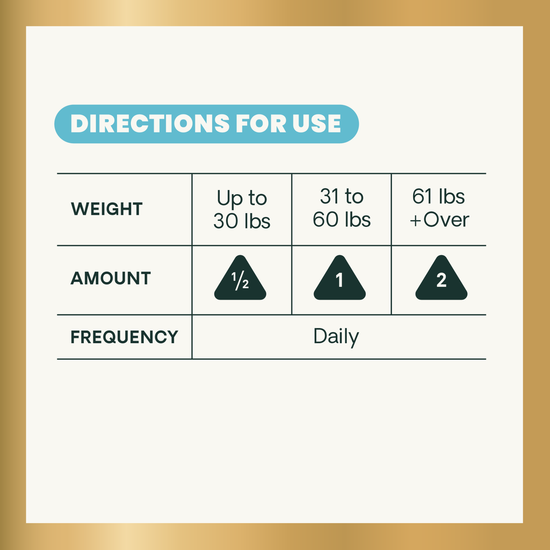 Veterinary Strength Liver Health for Dogs