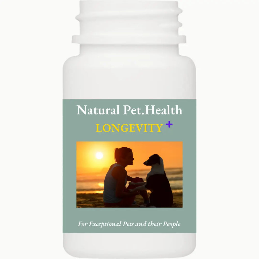 LONGEVITY PLUS-- The ONE Supplement EVERY Dog Needs.