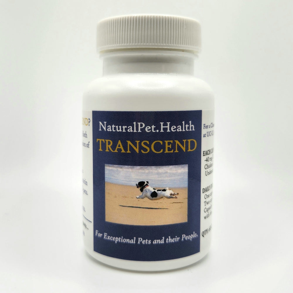 TRANSCEND FOR PETS -- Solve Your Pet's Joint Pain NOW.