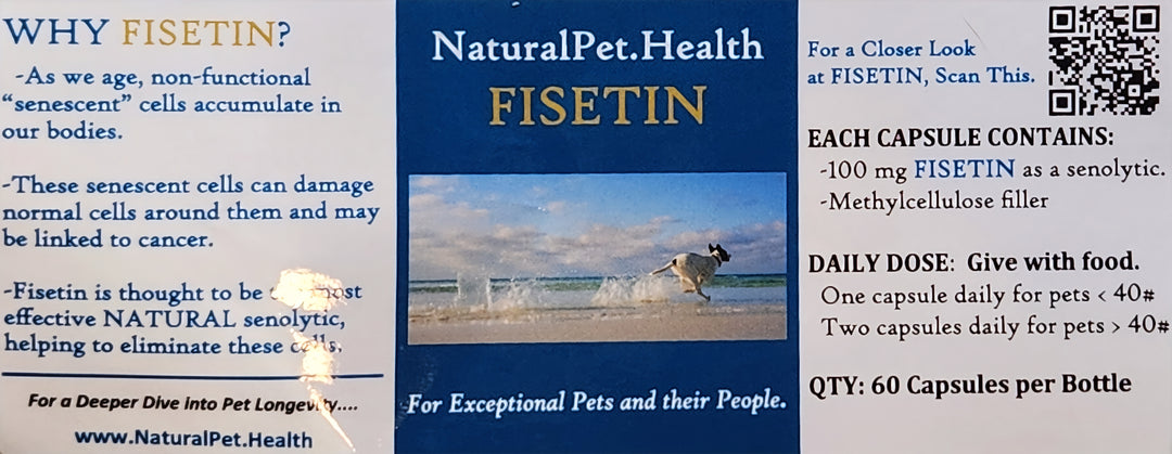 FISETIN FOR DOGS: THE NEW SENOLYTIC