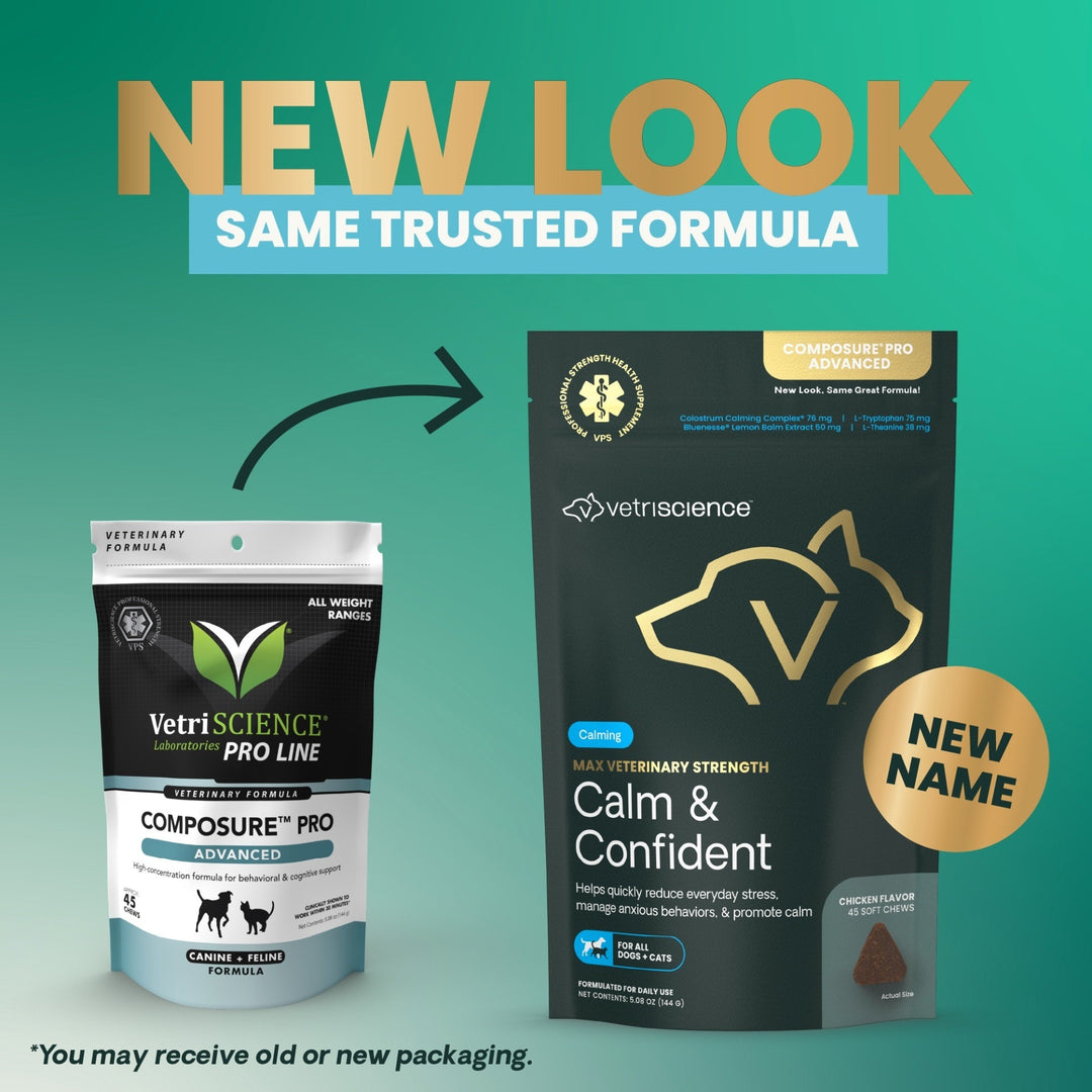 Max Veterinary Strength Calm & Confident for Dogs & Cats