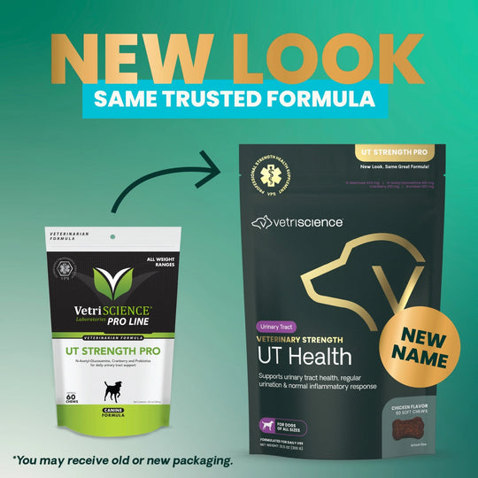 Veterinary Strength UT Health for Dogs