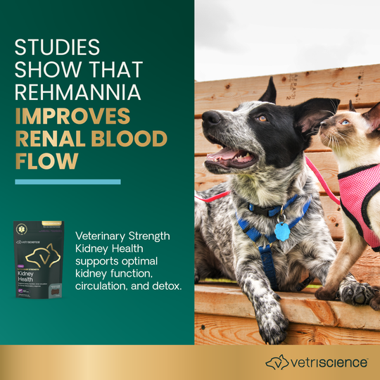 Veterinary Strength Kidney Health for Dogs & Cats